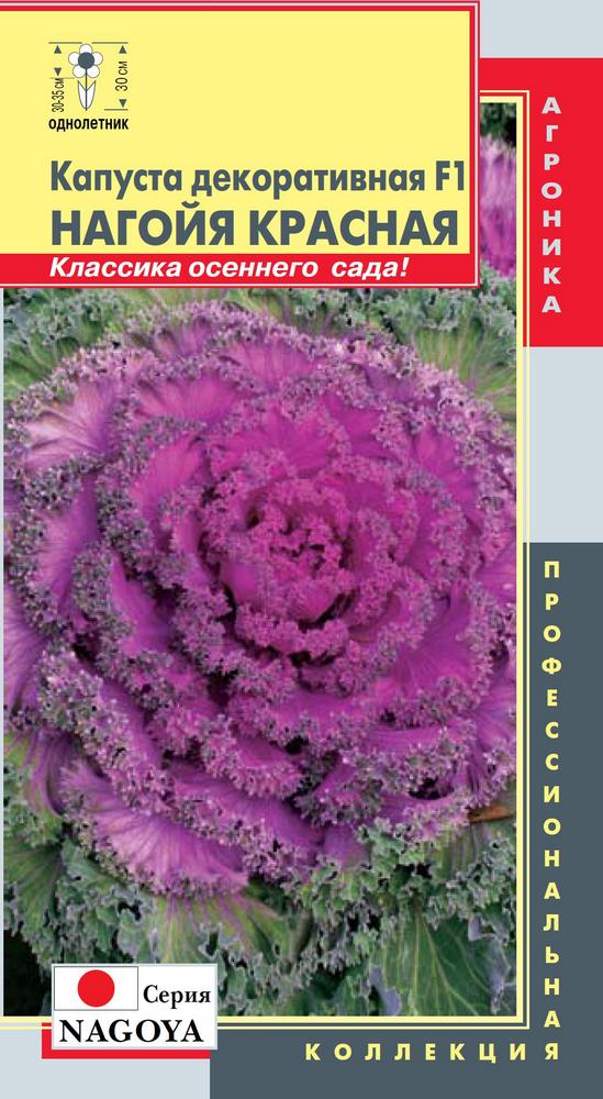 

Семена Капуста декоративная Нагойя Красная, 5 шт, Плазмас, 190043