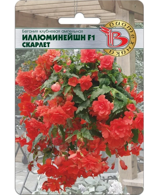

Семена Бегония ампельная Иллюминейшн Скарлет F1, 8 шт, Platinum Биотехника