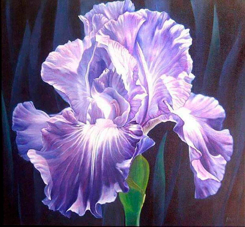 

Алмазная вышивка Алмазное Хобби Сиреневый ирис, 40x45 см, Сиреневый ирис