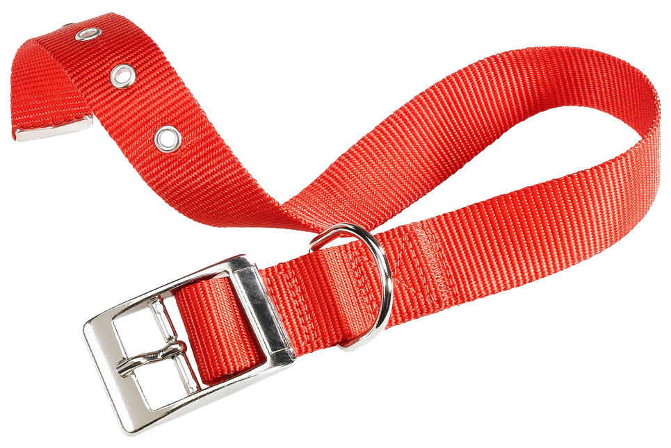 фото Ошейник для собак повседневный ferplast, 35-43см х 20мм, нейлон, красный