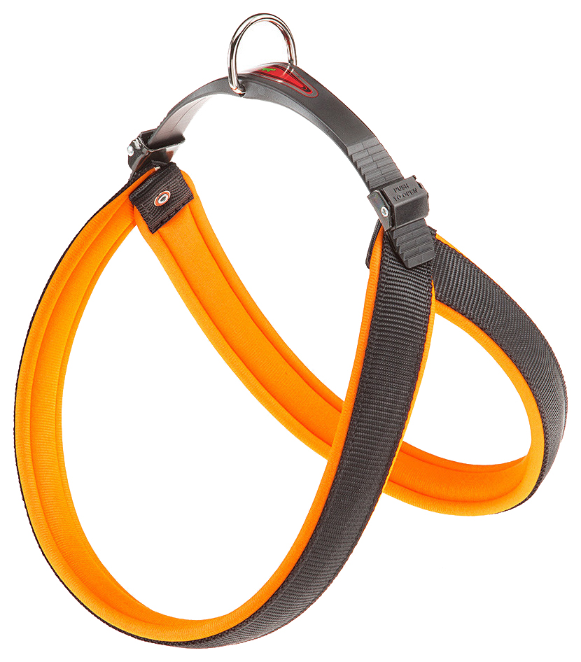 

Шлейка для собак Ferplast Agila Fluo (A=B 63/71см 25мм, Оранжевый), Agila Fluo