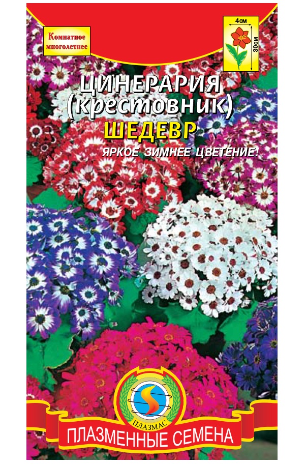 

Семена Цинерария (крестовник) Шедевр, Смесь, 10 шт, Плазмас