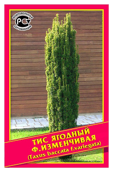 

Семена Тис Ягодный Ф, Изменчивая, 0,2 г Симбиоз