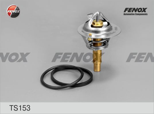 

Термостат FENOX TS153