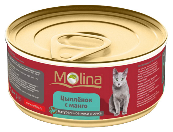 Консервы для кошек Molina, с цыпленком и манго в соусе, 80г