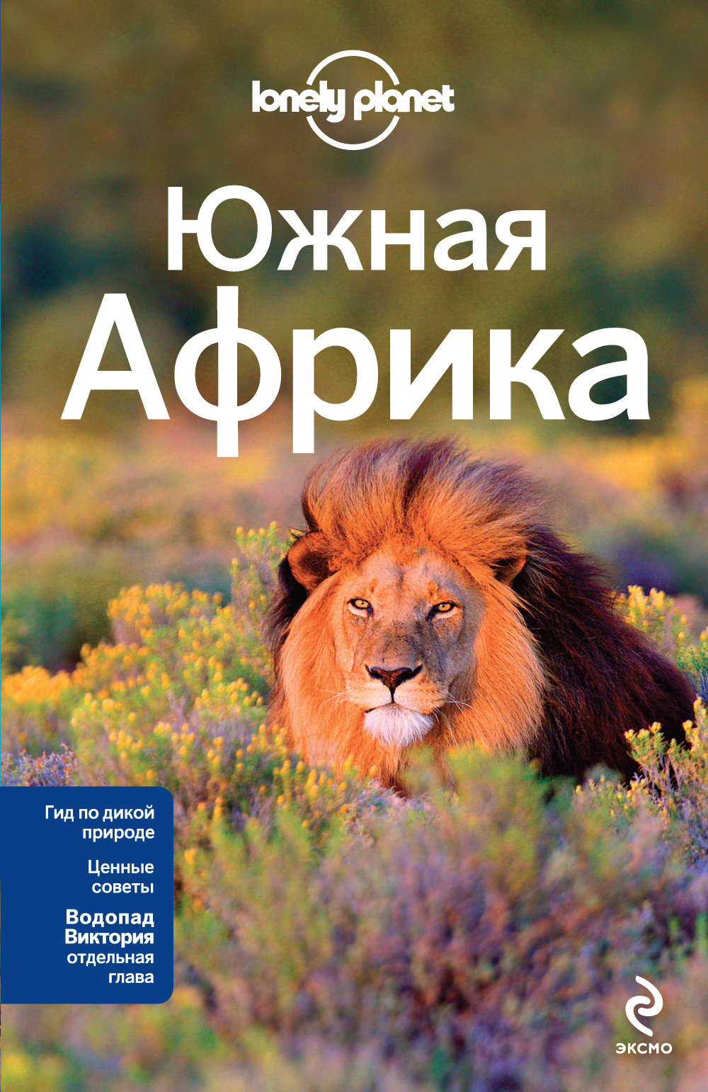 

Книга Южная Африка Юар, Зимбабве, Мозамбик, Ботсвана, намибия, Замбия, Малави, Свазиленд