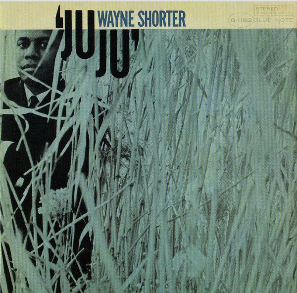 

Shorter, Wayne Juju