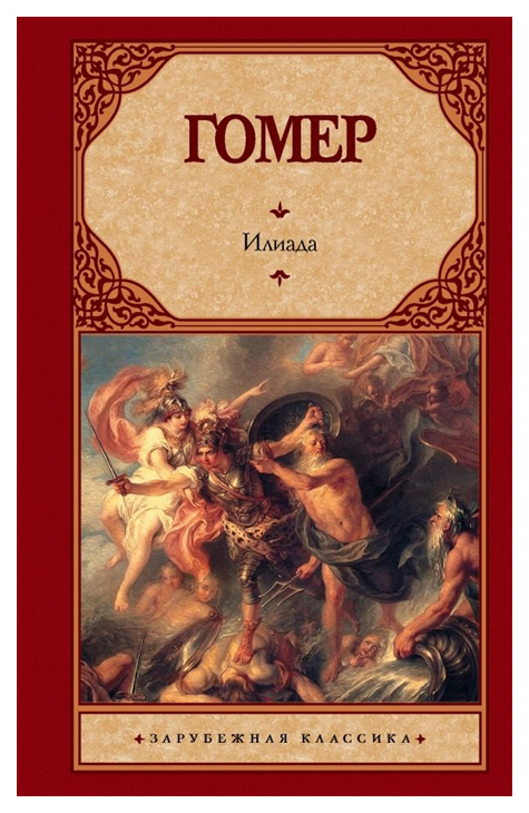 

Книга Илиада