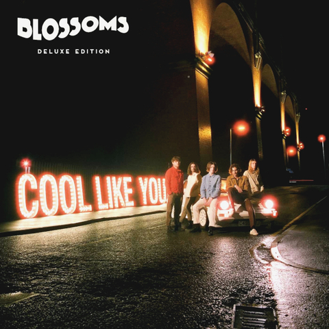 

Blossoms Cool Like You (LP)