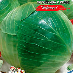 

Семена Капуста белокочанная Мечта, 0,3 г, Уральский дачник, 217657