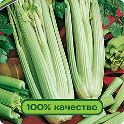 

Семена Сельдерей черешковый Малахит, 0,3 г, Partner, 217584
