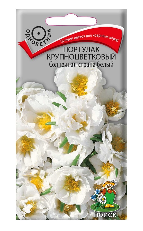 

Семена портулак Поиск Солнечная страна Белый 159665 1 уп.