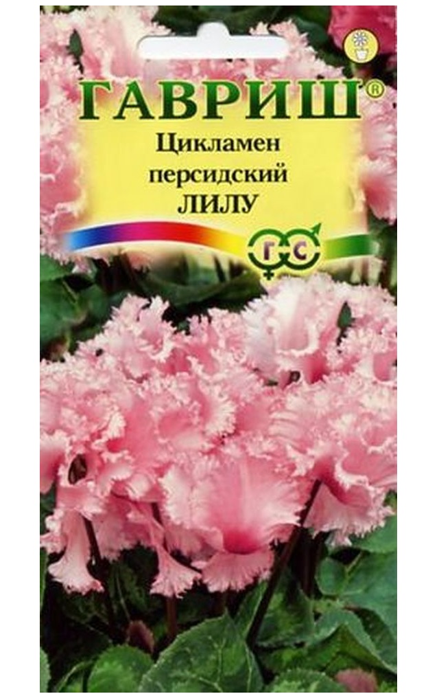 

Семена Цикламен персидский Лилу, 3 шт, Гавриш