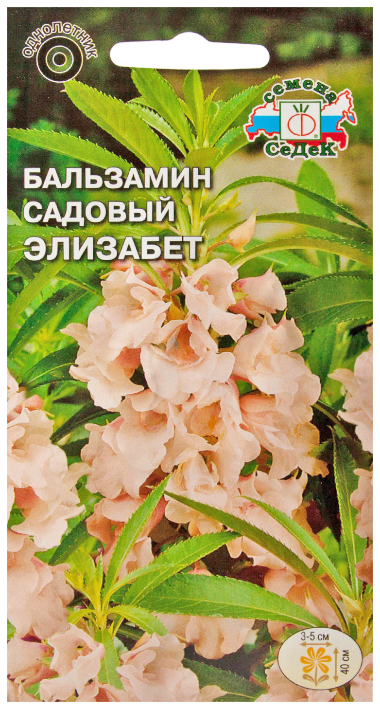 

Семена бальзамин СеДеК Элизабет 51767 1 уп.