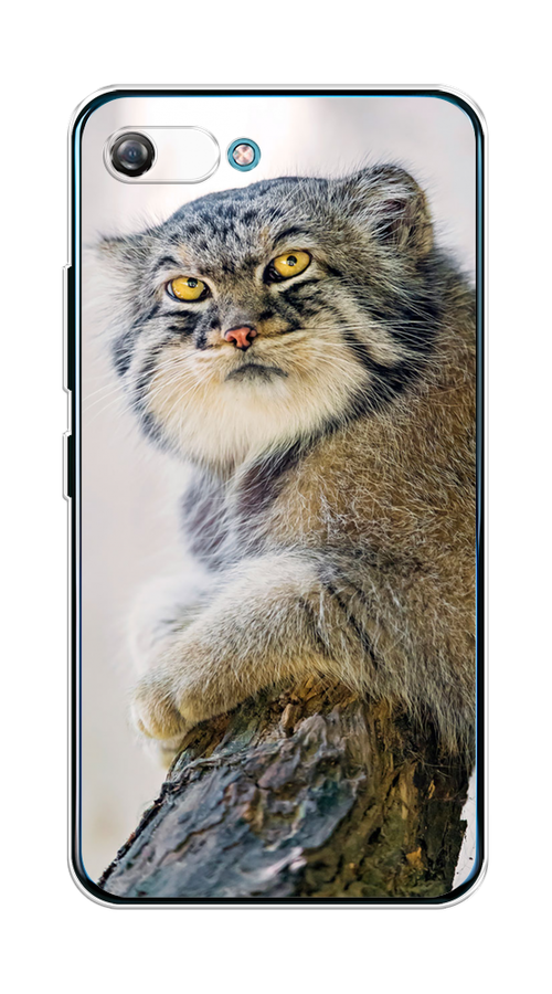 

Чехол на Itel A25/A35 "Кот манул 1", Серый;белый;желтый, 3200250-1
