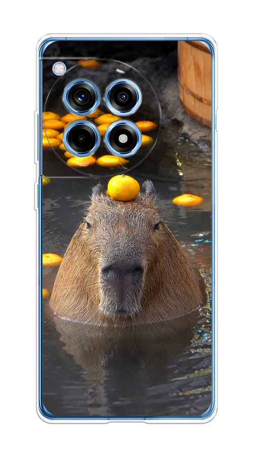 

Чехол на OnePlus Ace 3/12R "Капибара отдыхает", Коричневый;оранжевый;серый, 154650-1