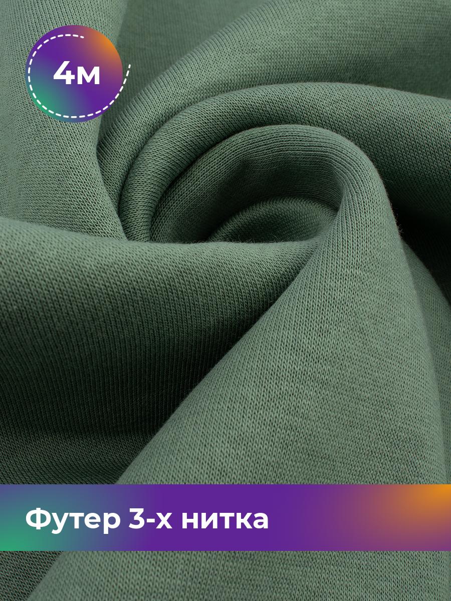 

Ткань Футер 3-х нитка с начесом (Пенье) Shilla, отрез 4 м * 185 см зеленый 4_22686.003, 18111078