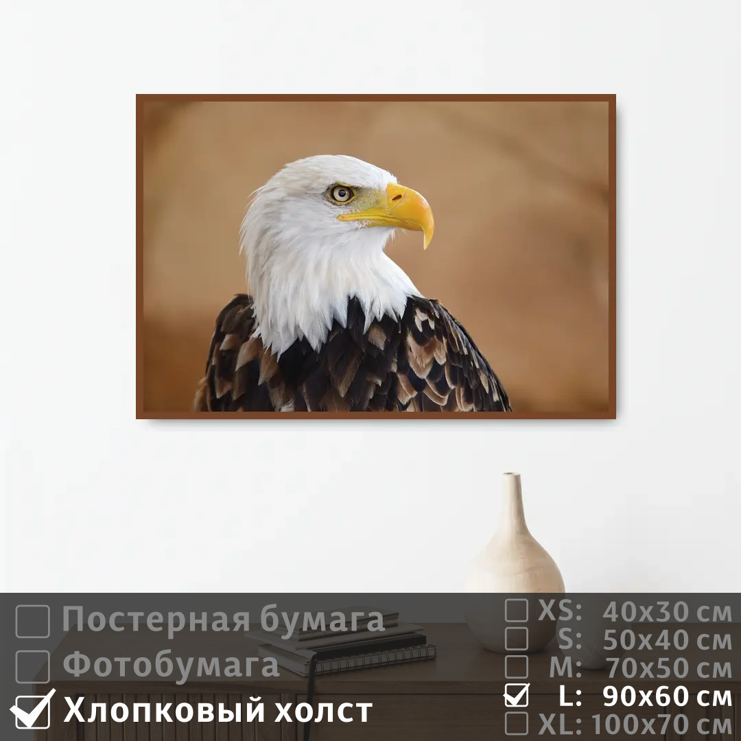 

Постер на холсте ПолиЦентр Белоголовый орел 90х60 см, БелоголовыйОрел