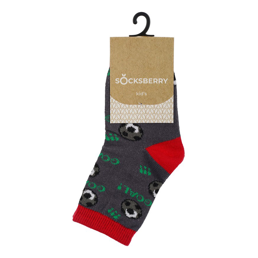 Носки детские Socksberry, разноцветный, р. 14