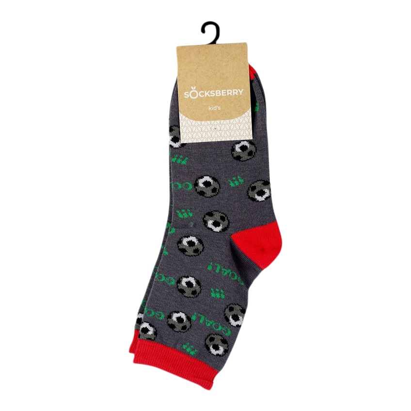 

Носки детские Socksberry, разноцветный, р. 20