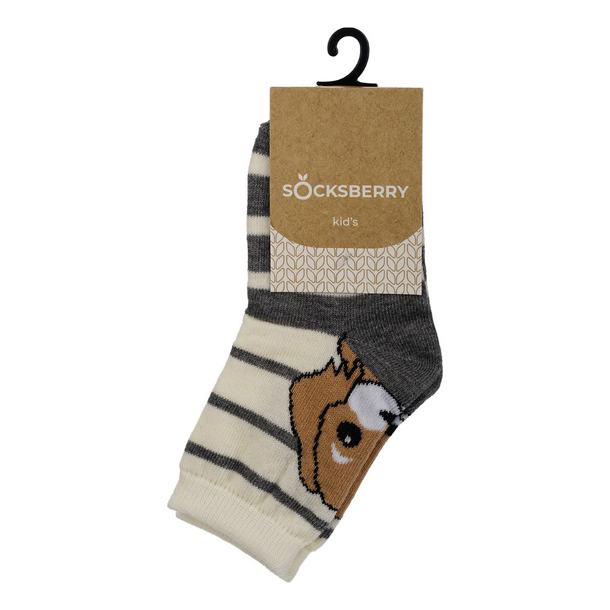 

Носки детские Socksberry, щенок на молочном, р. 14, Бежевый