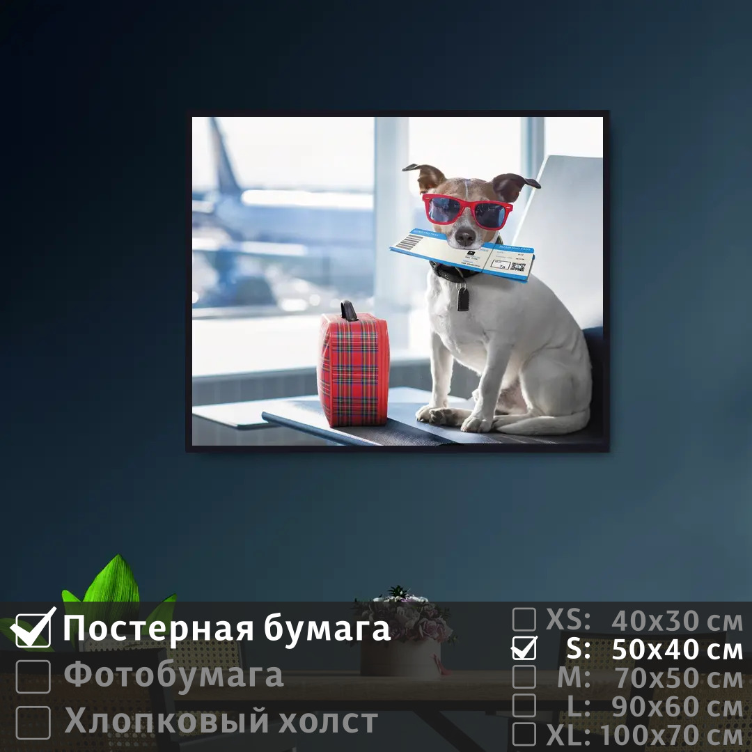 

Постер на стену ПолиЦентр Собака в очках ждет самолет 50х40 см, СобакаВОчкахЖдетСамолет