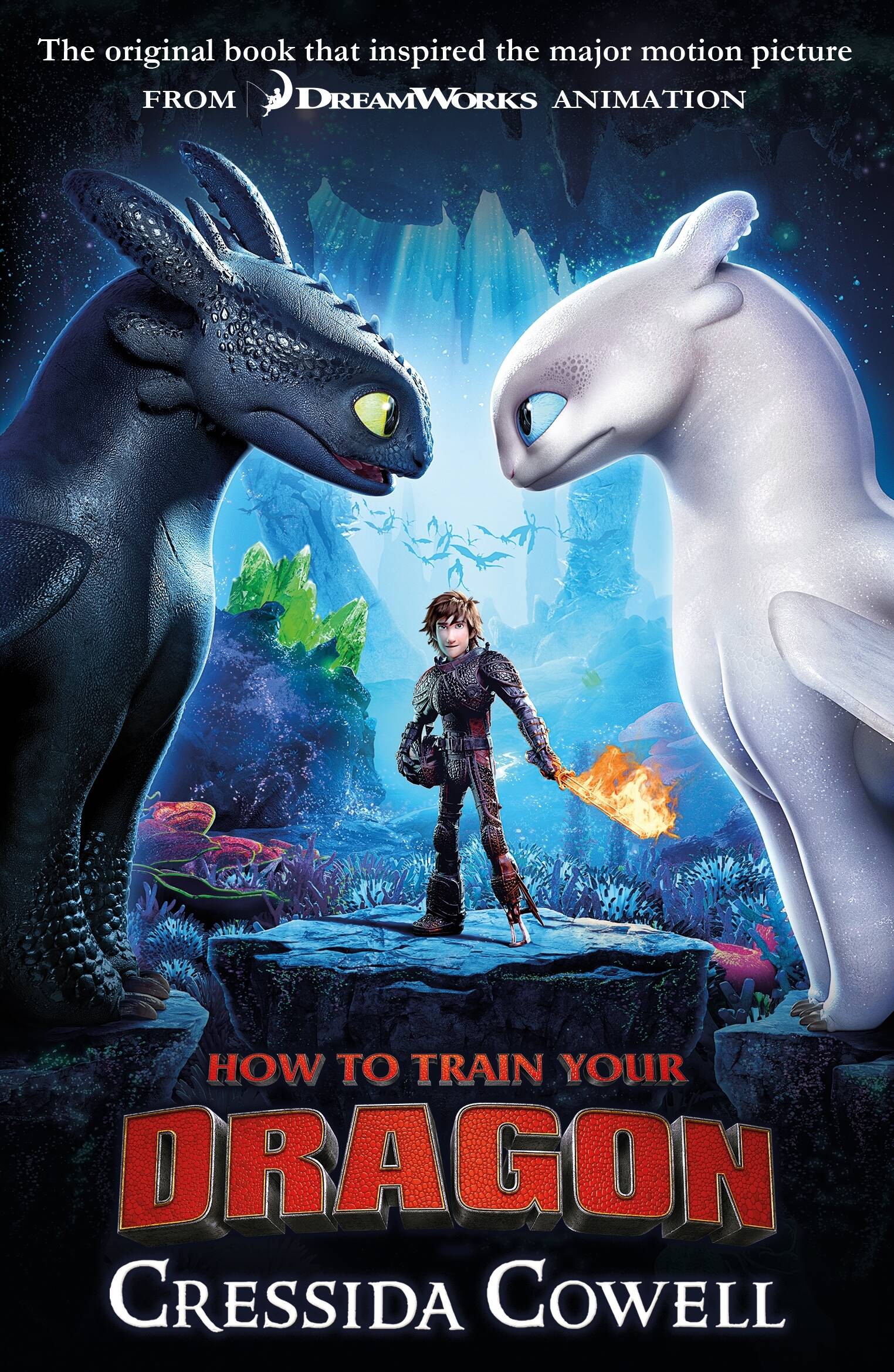 

How to Train Your Dragon