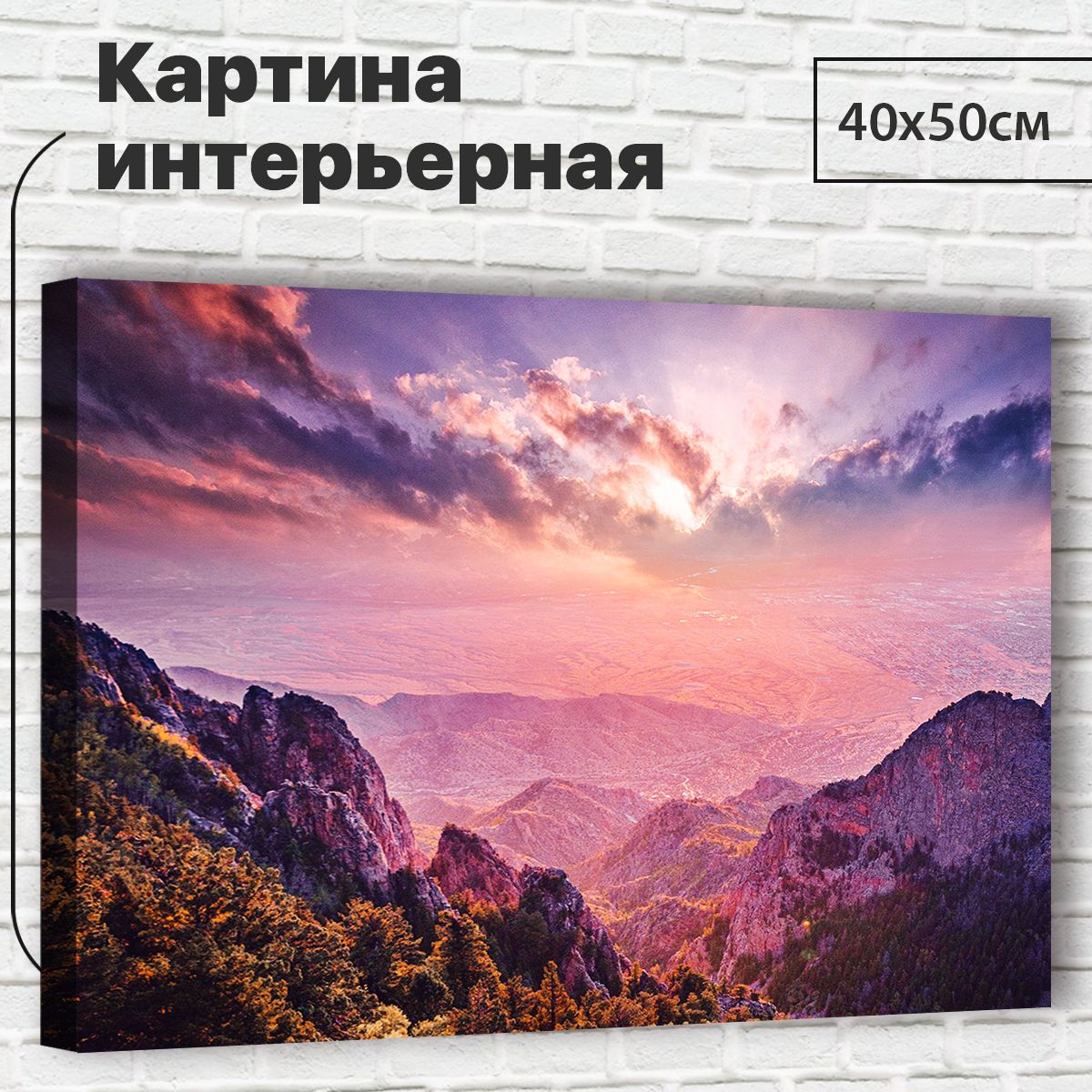 

Картина 40х50 см Горы XL0049 с креплениями, XL0049