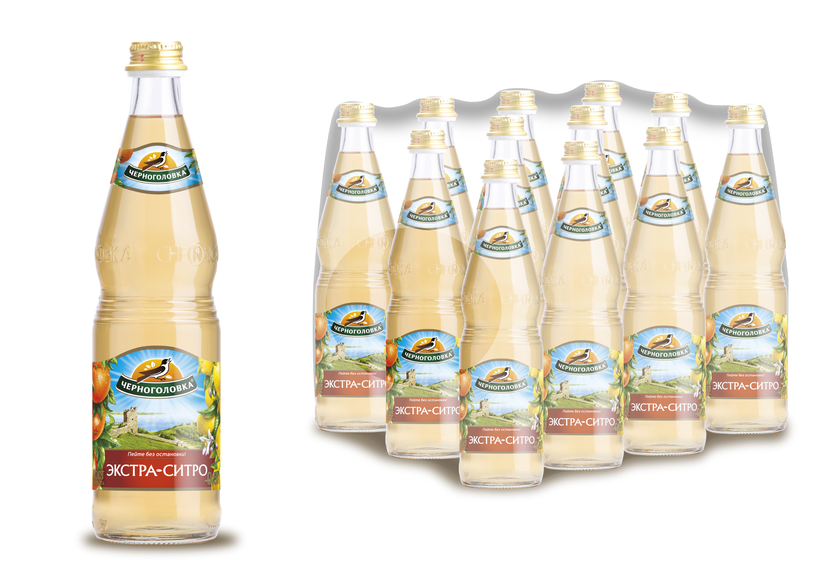 

Газированный напиток Напитки из Черноголовки Экстра-ситро 0,5 л