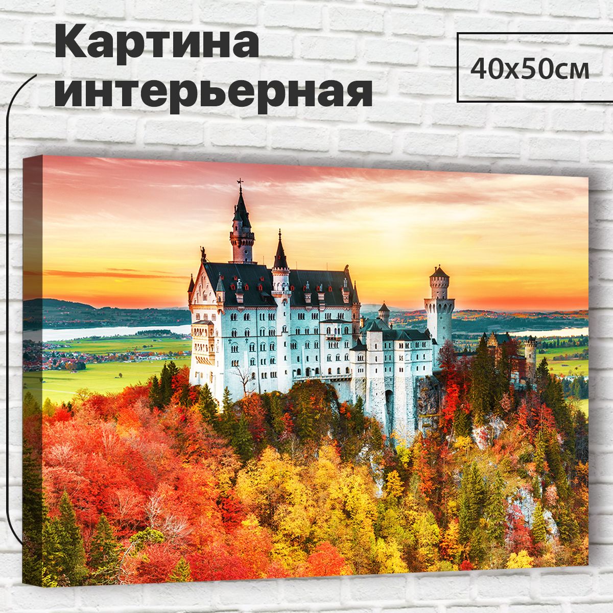 

Картина 40х50 см Замок XL0016 с креплениями, XL0016