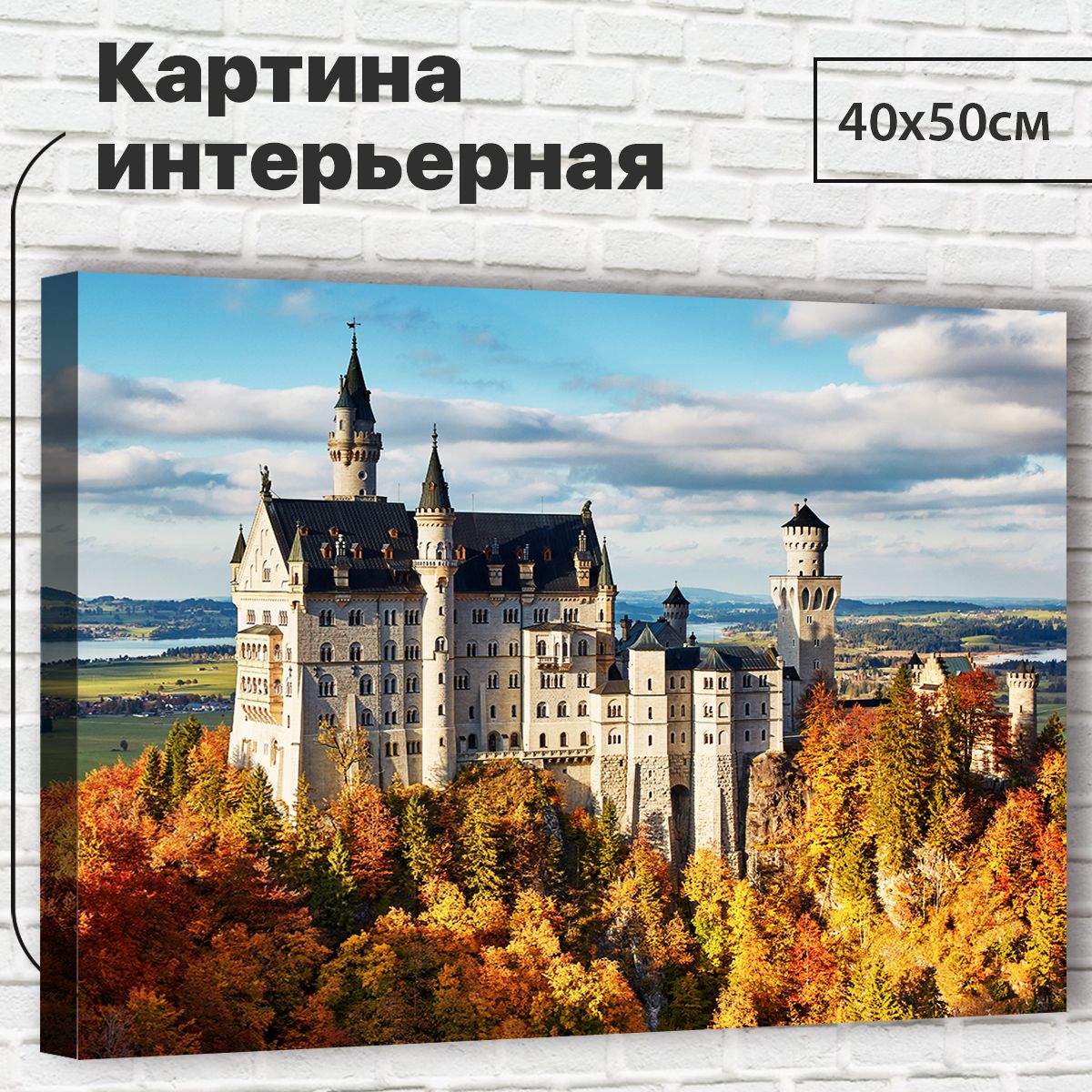 

Картина 40х50 см Замок XL0053 с креплениями, XL0053