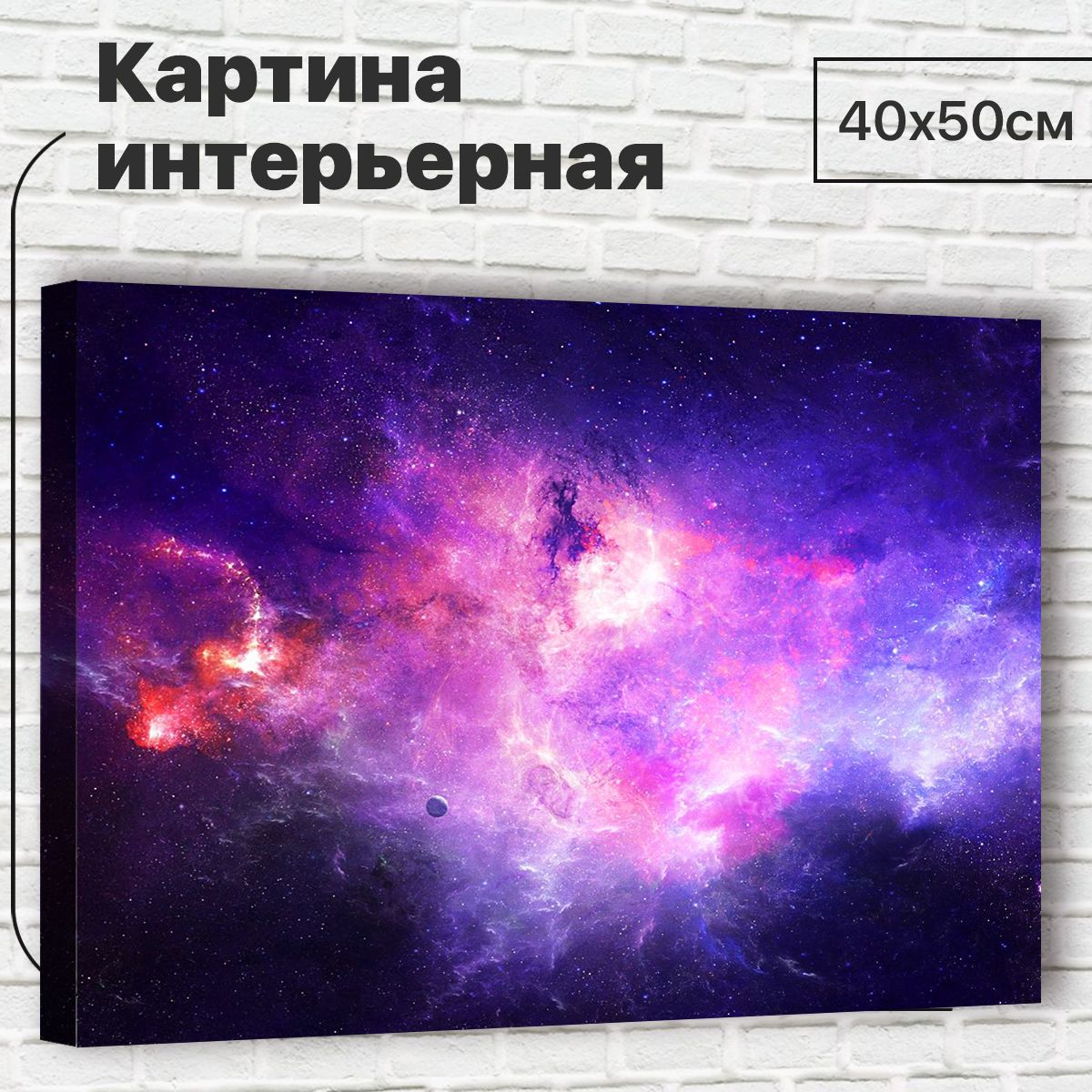 

Картина 40х50 см Косм ос XL0069 с креплениями, XL0069