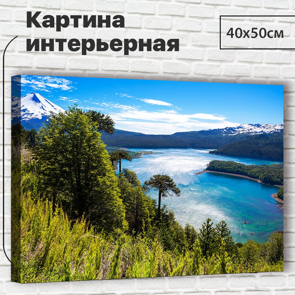 Картина размером 40 на 50 сантиметров с изображением озера Тахо, артикул XL0015, оснащена креплениями.