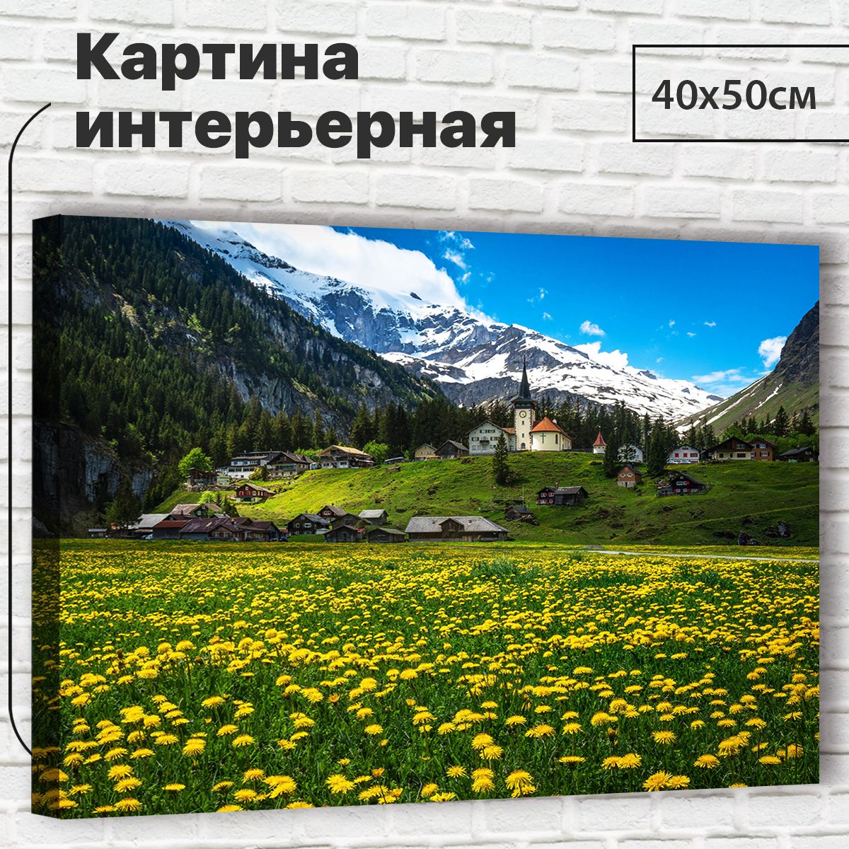 

Картина 40х50 см Швейцарские Альпы XL0014 с креплениями, XL0014