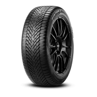 

Шины Pirelli Winter Cinturato 2 215/55/R17 98V