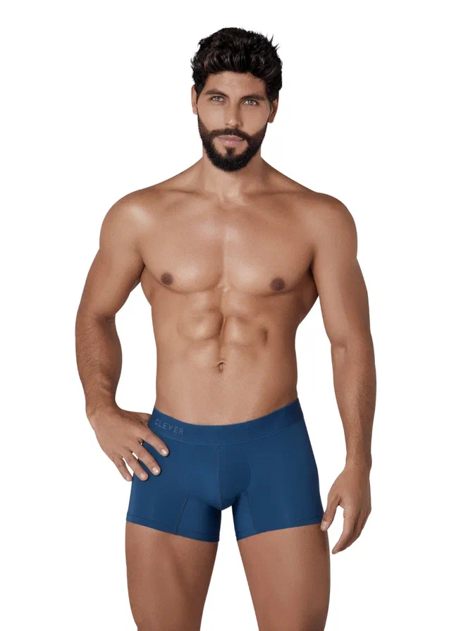 

Трусы мужские Clever Masculine Underwear 1309 синие L, Синий, 1309