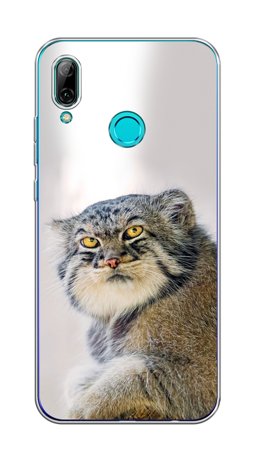 

Чехол на Honor 10 Lite, Huawei P Smart 2019 "Кот манул 1", Серый;белый;желтый, 67550-1