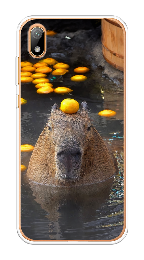 

Чехол на Huawei Y5 2019, Honor 8S/8S Prime "Капибара отдыхает", Коричневый;оранжевый;серый, 69150-1