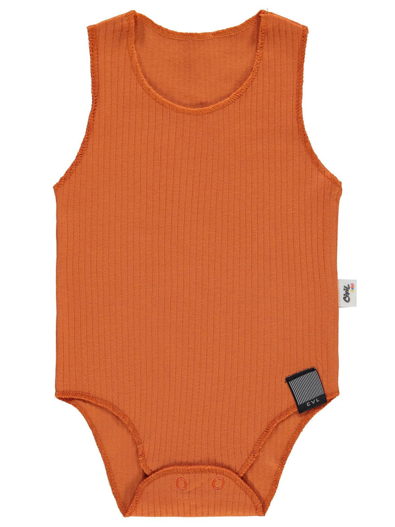

Боди Civil Baby 14330E830SS1 светло-коричневый 3-6 мес (доставка из-за рубежа), 14330E830SS1