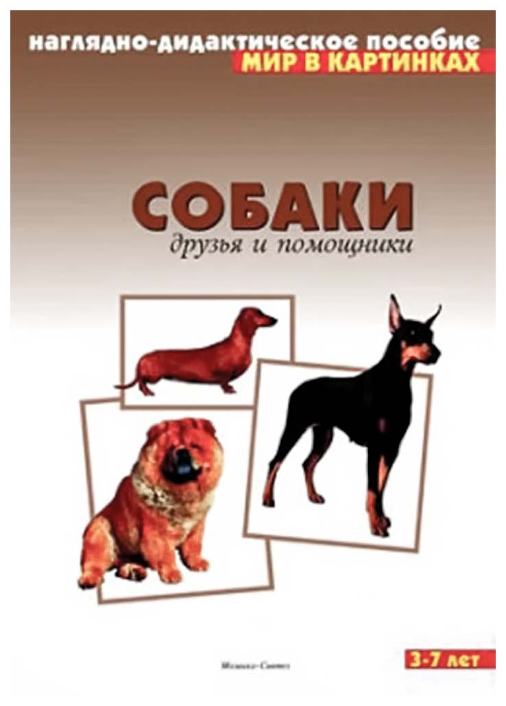 

Плакат Собаки Друзья и помощники