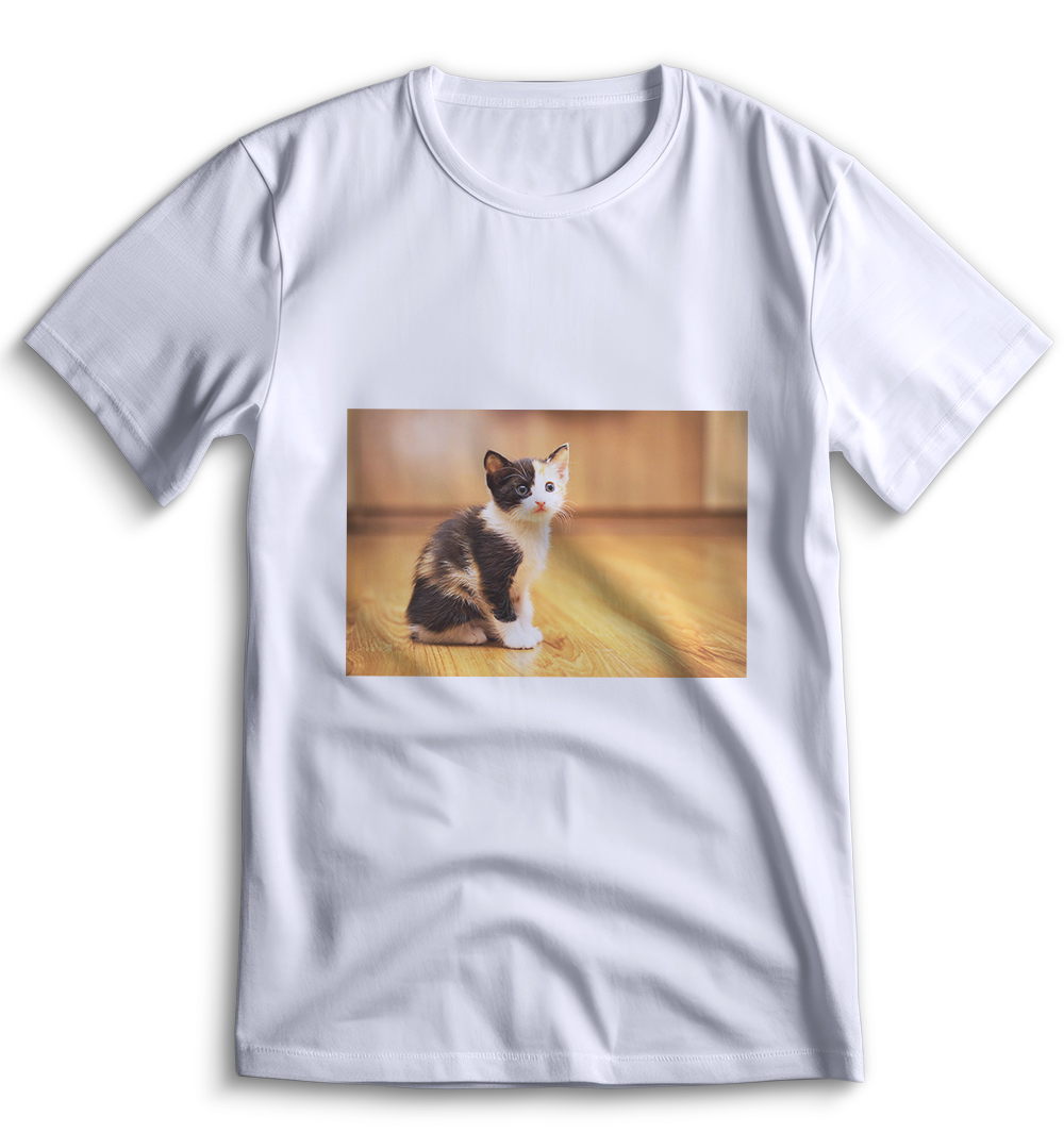 Футболка Top T-shirt Кот Котенок 0175 белая XL 1408lol30668 110148290888,  арт. XL-TO-YASB-1408lol30668, цена 990 р., описание, характеристики, фото,  отзывы | kak-investirovat.ru