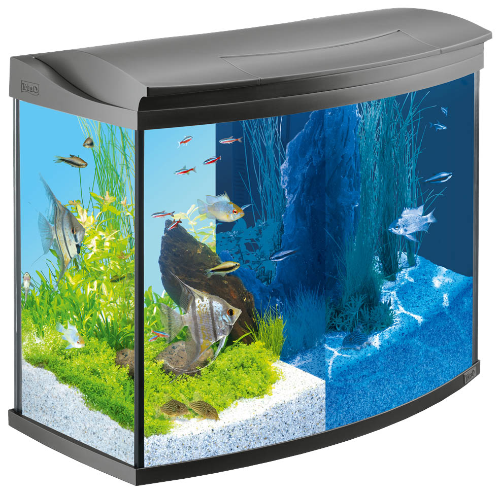 

Аквариумный комплекс для рыб, креветок, ракообр Tetra AquaArt LED с изогнутым стеклом 130л, Evolution Line 130