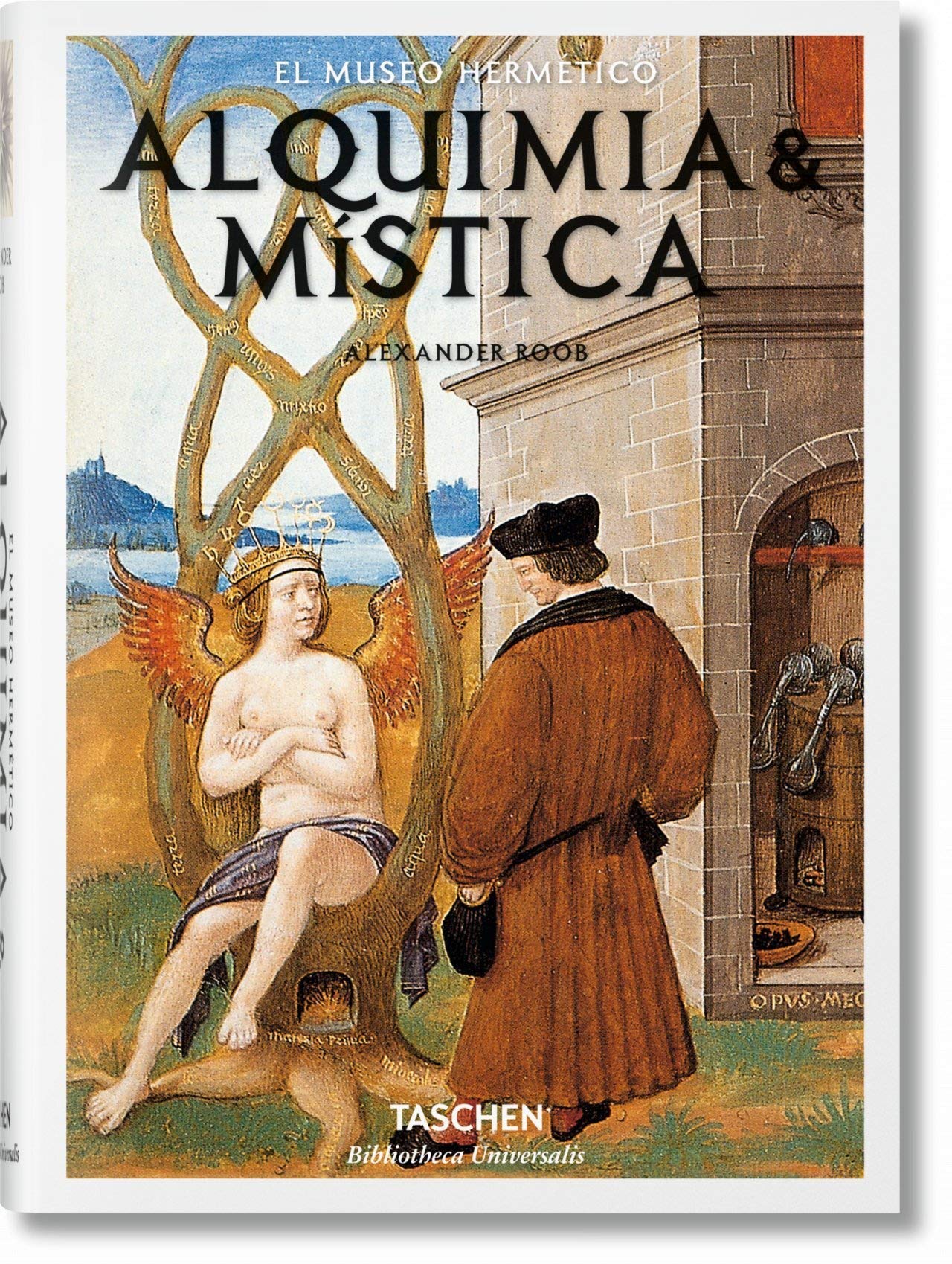 

Alchemy & Mysticism