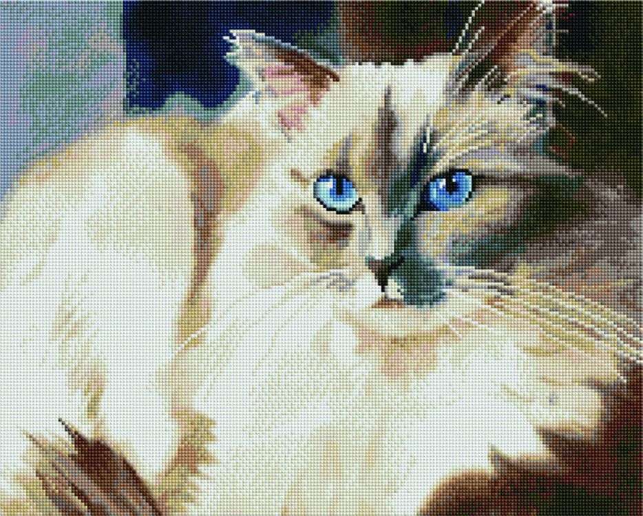 

Алмазная вышивка Painting Diamond Пушистый красавец, 40x50 см, Пушистый красавец
