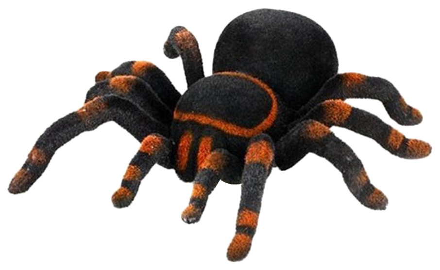 Радиоуправляемый робот-паук Cute Sunlight Toys Тарантул 781 интерактивная игрушка edu toys паук радиоуправляемый