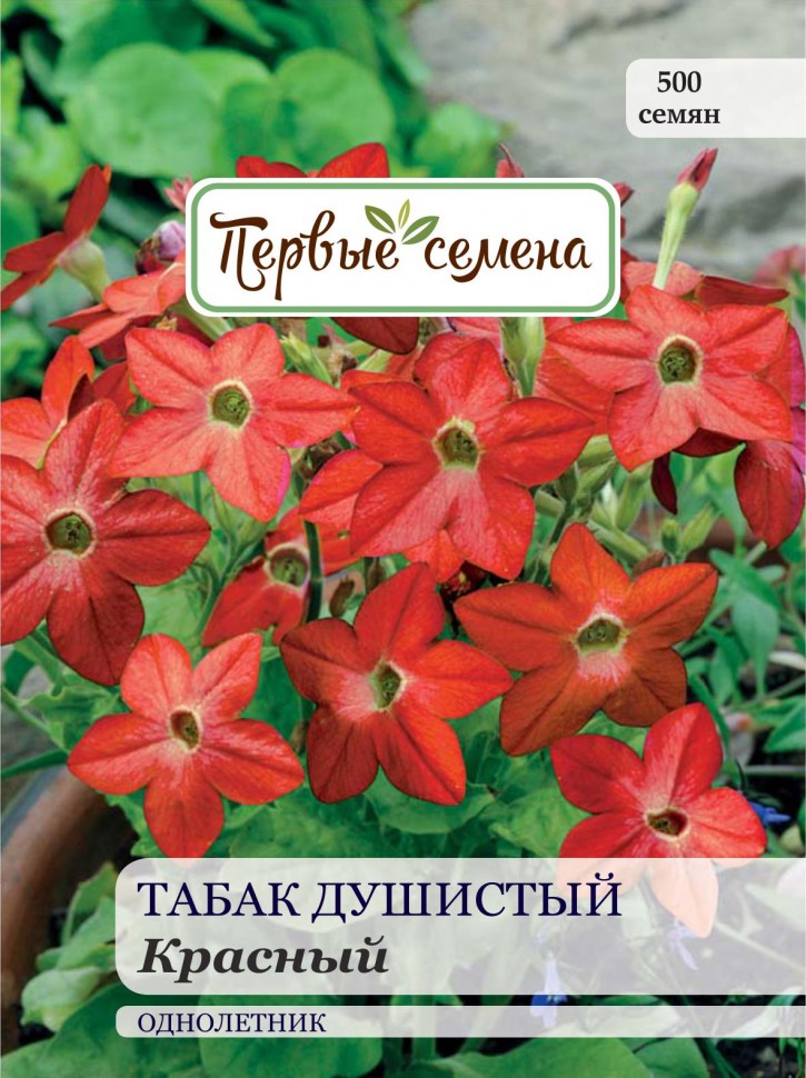

Семена цветов Первые семена Табак душистый Красный, 0,1 г