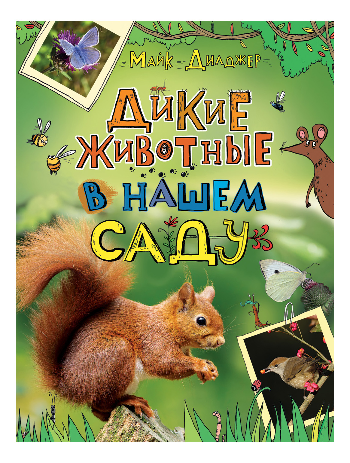 

Дикие Животные В нашем Саду. Майк Дилджер, Дикие животные в нашем саду. М. Дилджер