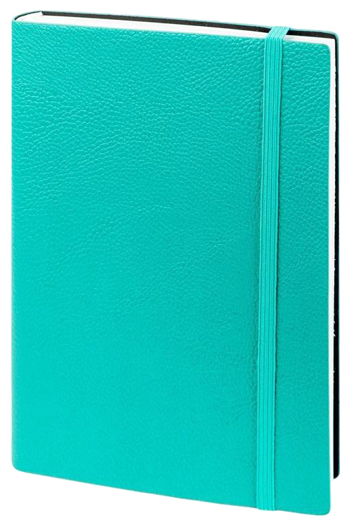 

Ежедневник Infolio AZ683/aqua Prime недатированный
