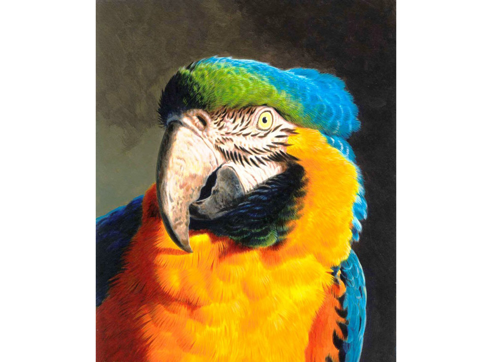 

Алмазная вышивка Яркие Грани Попугай, 43x50 см, Попугай