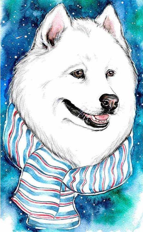 

Алмазная вышивка Цветной Белый друг, 20x30 см, Белый друг